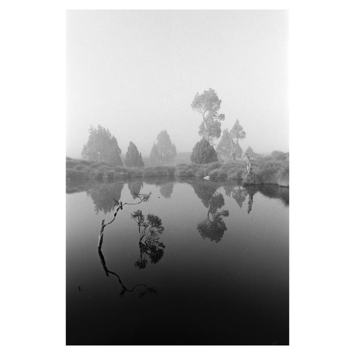 A body of water reflects trees and a hazy sky.