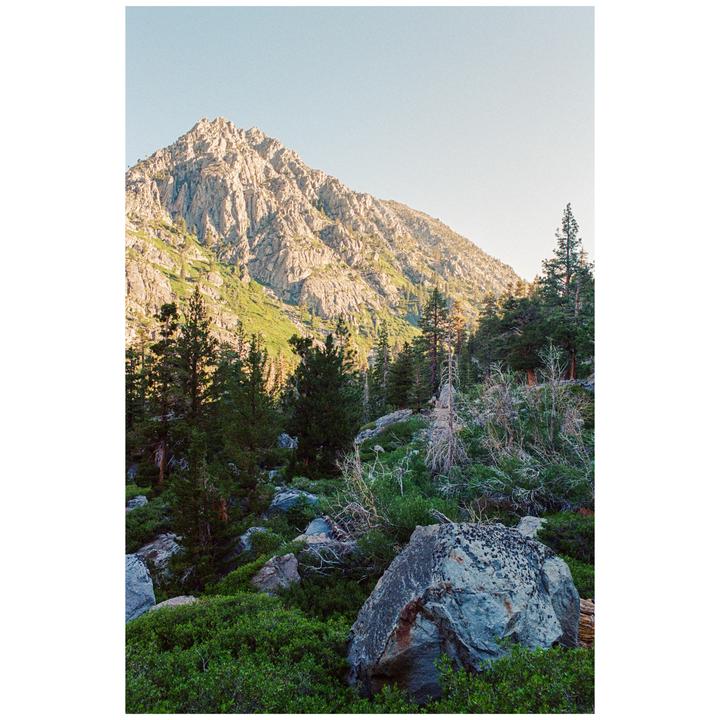 In the hills above Lake Tahoe [Nikon FM2n, 28mm f/2.8 AIS, Ultramax 400]