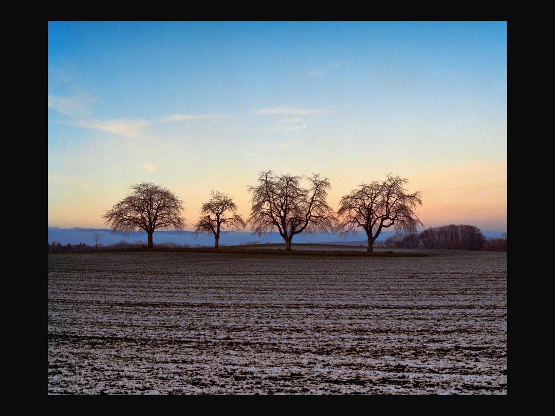 image 36315 by wal241