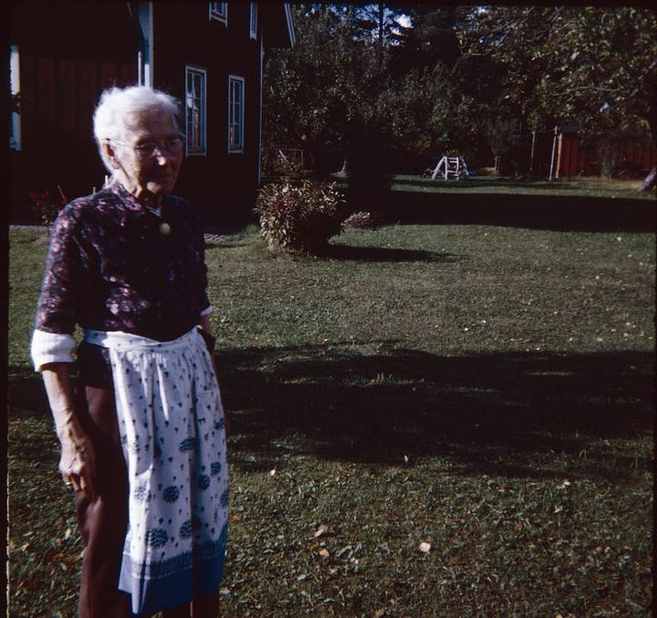 Scanned some of my grandpa's old slide film that was shot in the 1960's and 70's. I have no idea what camera, lens or film he used.