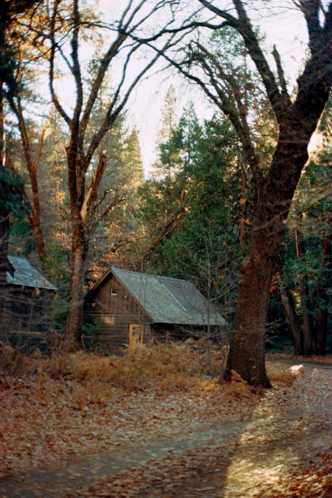 A rustic wooden cabin with a gray roof is nestled among trees with autumn foliage.