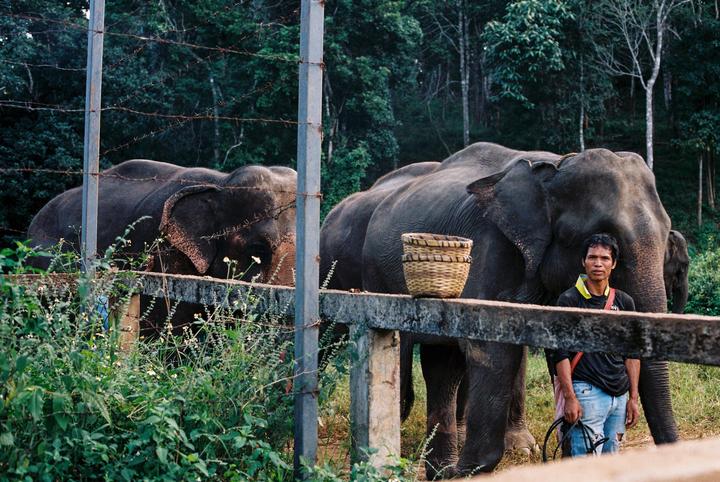 Recent trip to Thailand. [Canon AE-1p, 50mm f/1.8 or 28mm f/2.8, various]