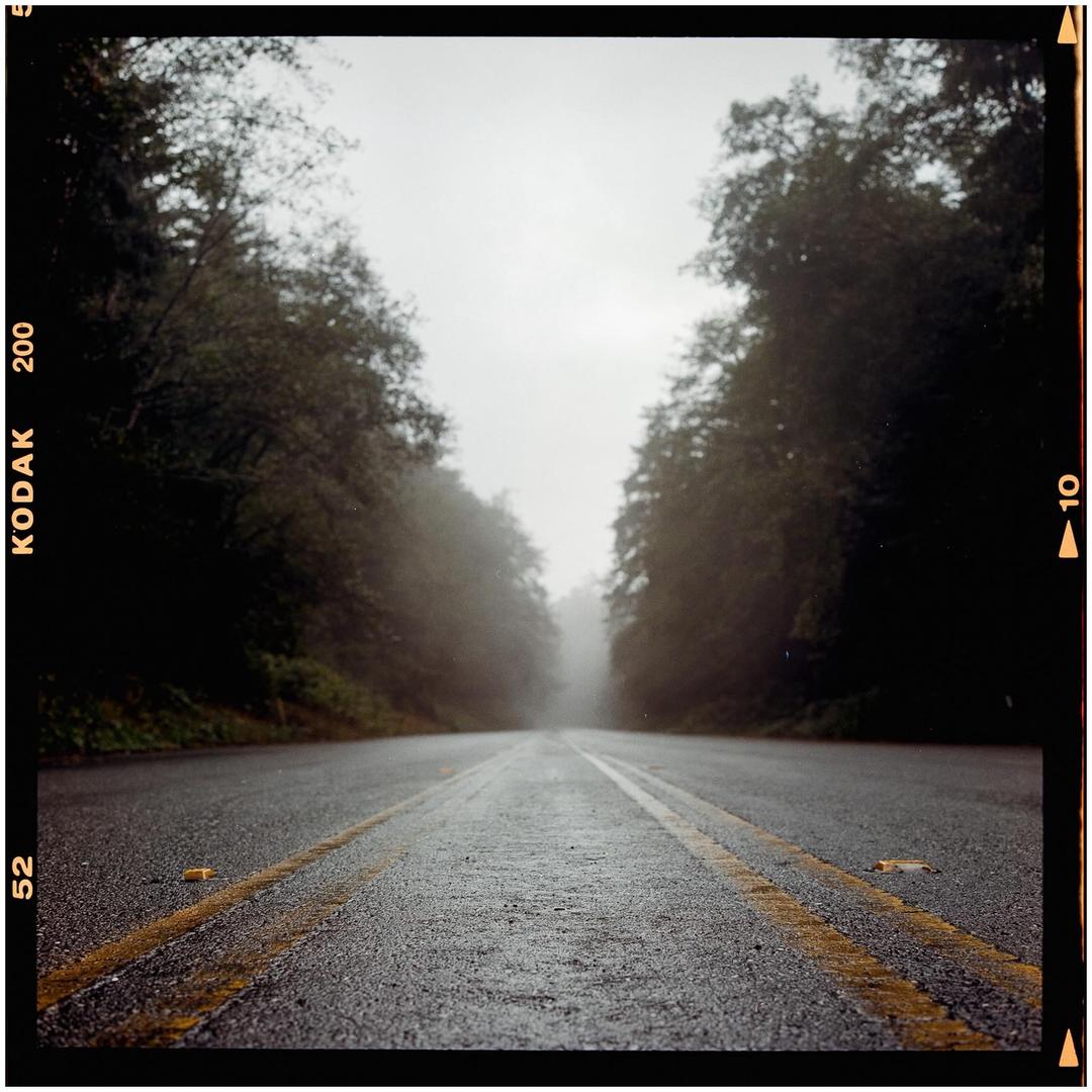 image 35973 by pizzadog112