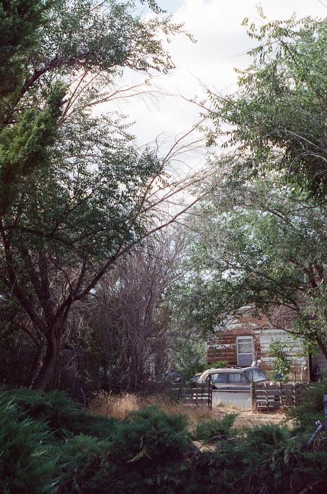 An old car is parked next to a weathered house, surrounded by dense trees and overgrown bushes.