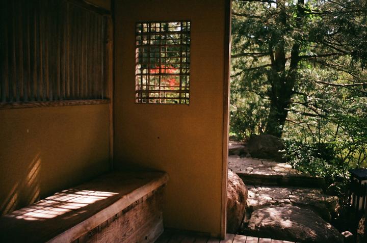 Anderson Japanese Gardens | Minolta XD w/ MC Rokkor 35mm | Kodak Pro Image 100