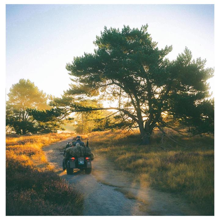 A person on a motorcycle with a sidecar drives down a dirt road through a field of tall grass and trees at sunset.