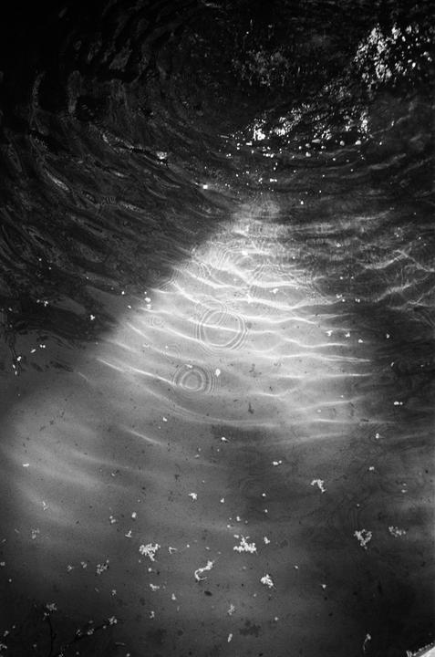 Sunlight reflects on the surface of rippling water with small debris floating on it.