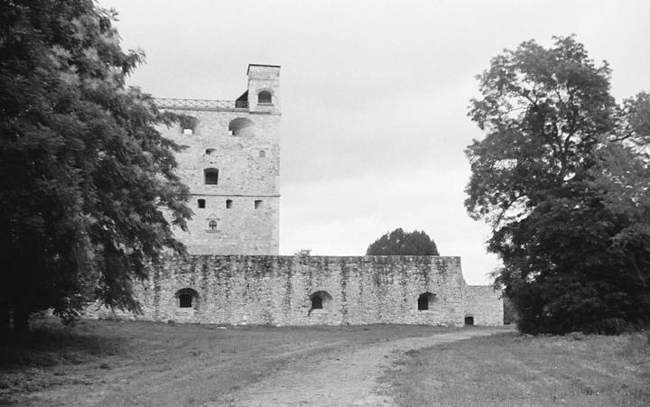 A dirt path leads to a stone castle with a tall tower and arched windows, framed by large trees on either side.