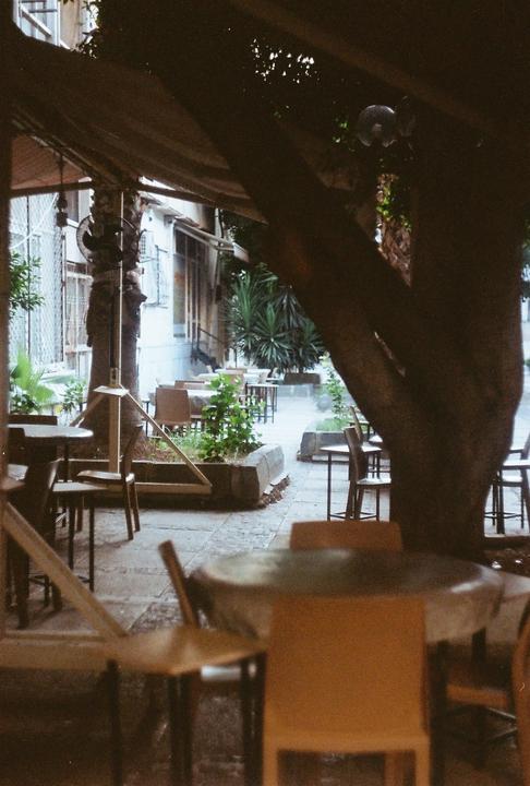 Some shots from my first roll of film (kodak profoto100)