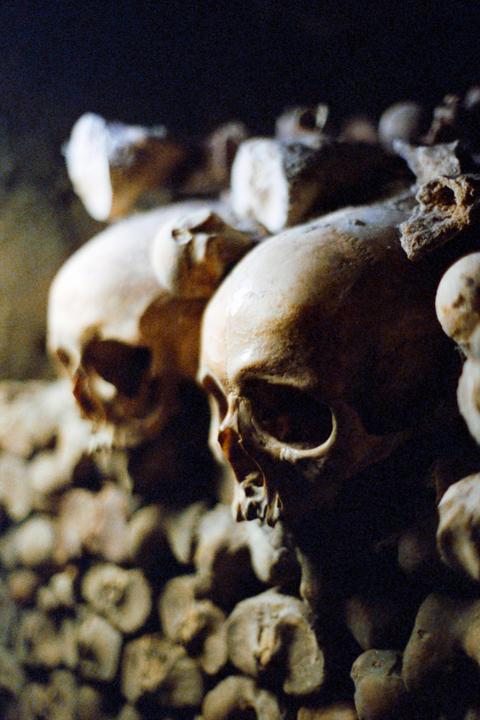 Paris Catacombs Ossuary / Olympus OM4-Ti / Zuiko 50mm F1.4 / CineStill 800T Push +1