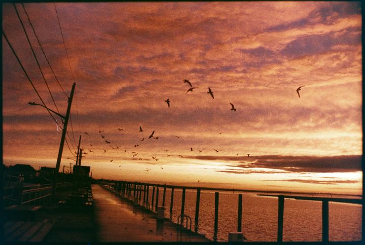 Mix of my home, and a trip Japan earlier this summer [Nikon F3, Mir 24h f2.0, Harmon Phoenix]