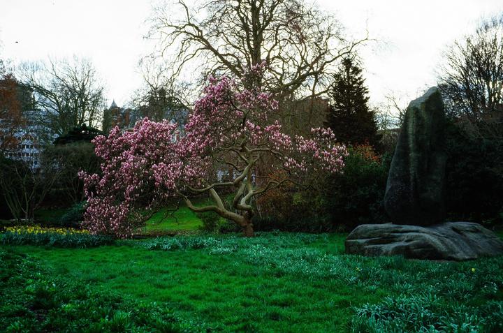 do you guys find these photos boring? - I am quite unsure with them. Canon P / 35mm / Ektachrome100