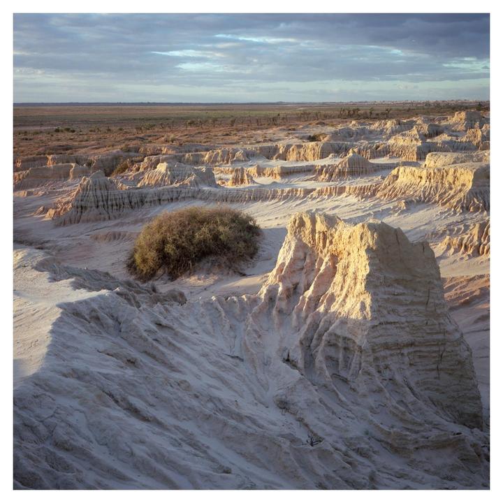 The Outback | Rolleiflex 2.8D | Zeiss 80mm Planar | Portra400 and Ektar100