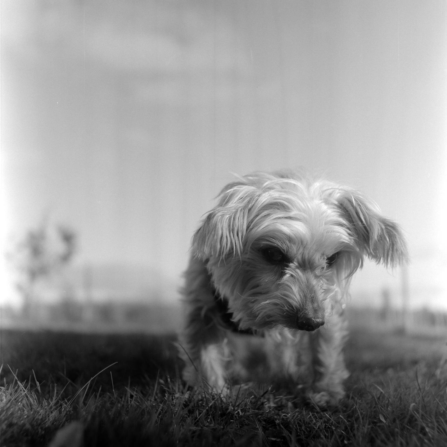 image 36216 by zeagan