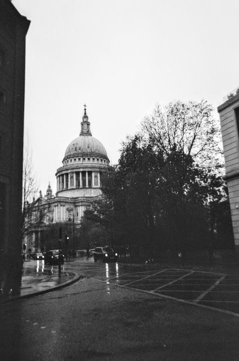 A large domed building stands prominently on a wet street with cars and trees.
