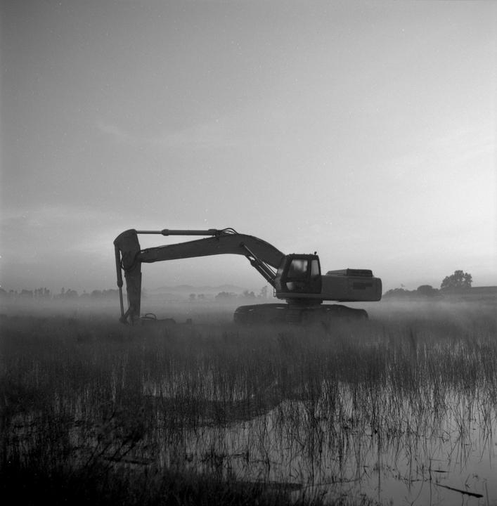 An excavator sits in a misty, grassy field with standing water at dawn.