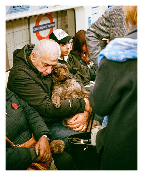 Unconditional love. Konica Hexar AF / Portra 400. Insta @bygiak