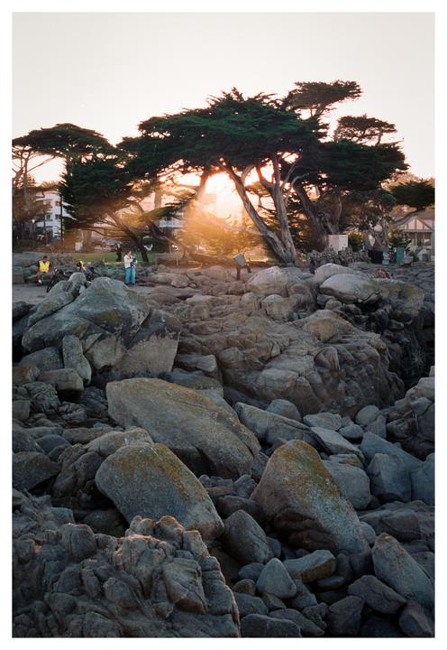 Sunbeams in Monterey // Canon F-1 & 28mm // Fuji Superia 400