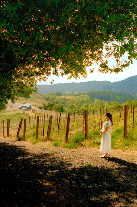 A weekend in Napa | 35mm Summicron | Portra 400