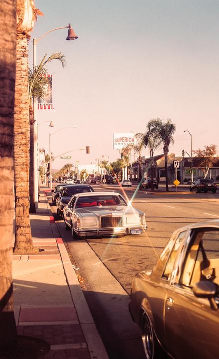 A street lined with palm trees and parked cars stretches into the distance under a bright sky.