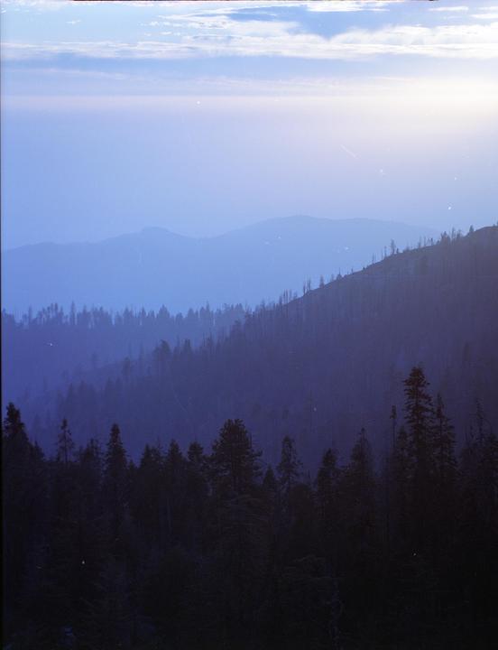 Sequoia National Forest - Contax 645 80mm F2.0 - Kodak Portra 400