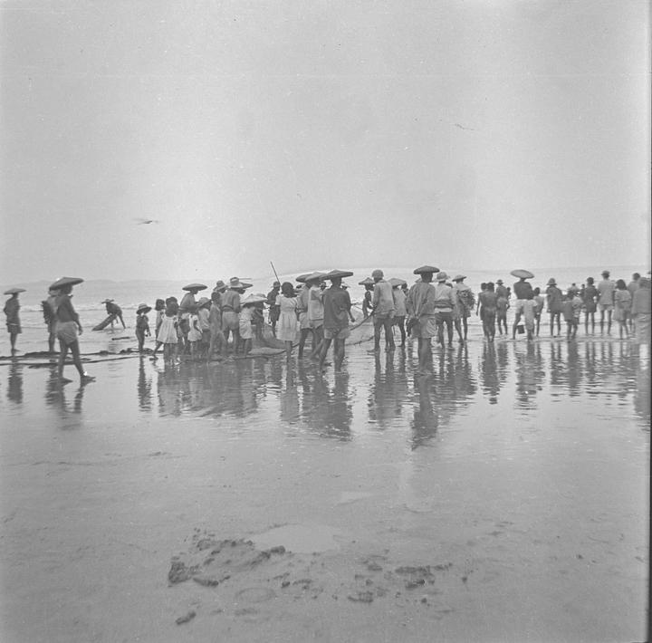 A large group of people, many wearing conical hats, stand in shallow water on a beach.