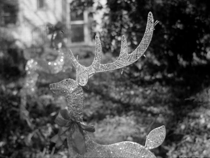 A glittery reindeer decoration with a bow is visible in the foreground, with a blurry background of foliage and a building.