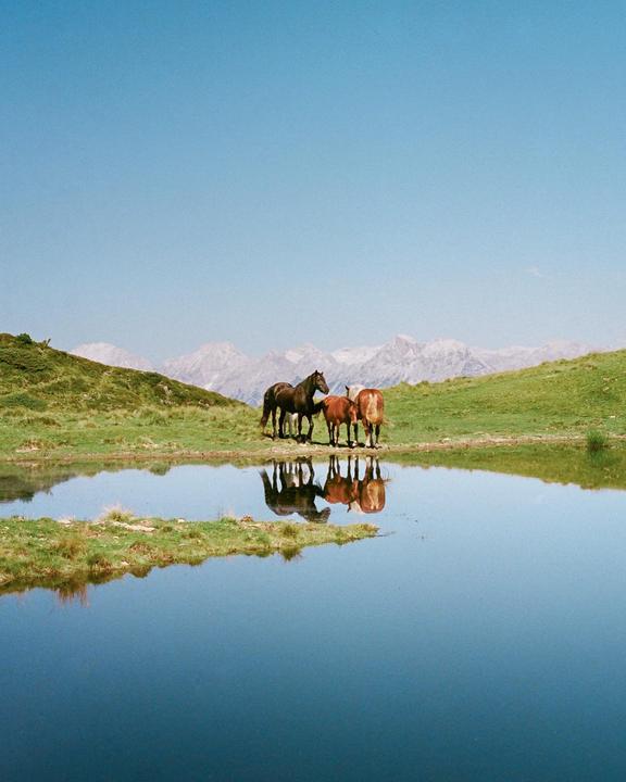 Tirol, Austria [Canon AE-1, 50mm f1.8, Kodak Portra 400]