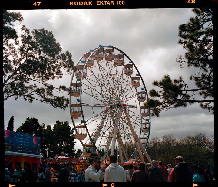 First roll of Ektar 120 | Mamiya RB67 | 90mm F3.8