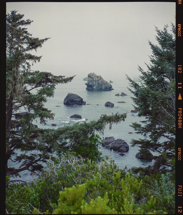 Pacific Abyss · Mamiya 7ii 80MM · FujiFilm Pro 400H (Expired)