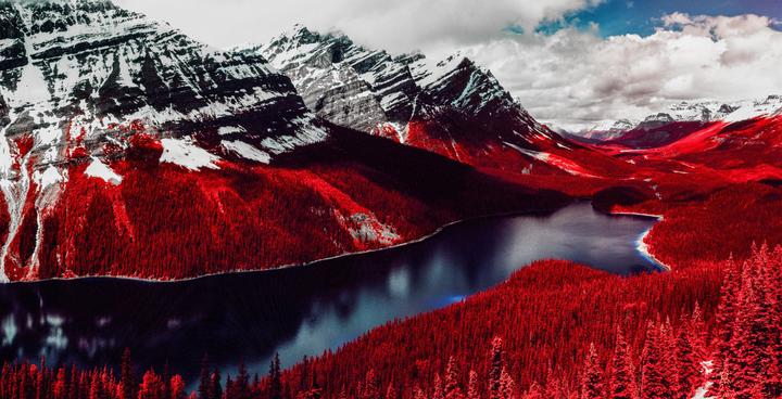 I ran from my car to get this scene before the sun went away again. [500CM, 80 2.8, Aerochrome]
