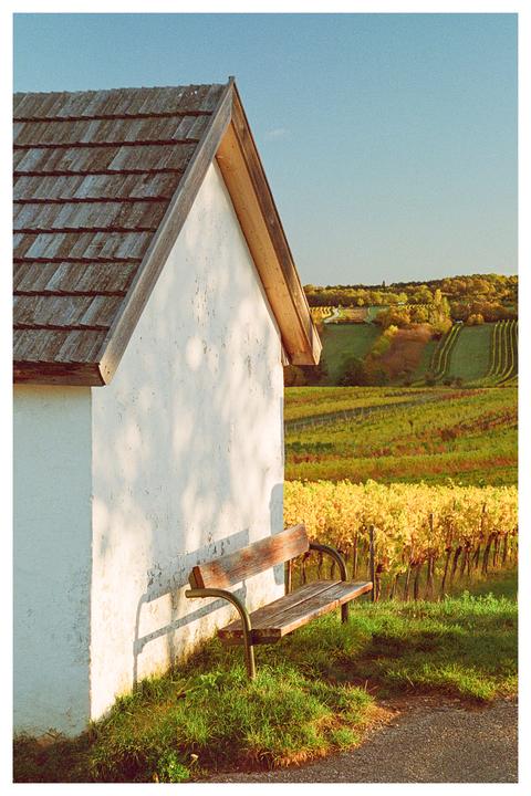 A bench to relax, soft shadows, and fall colors during sunset [Nikon F100, Portra 800]