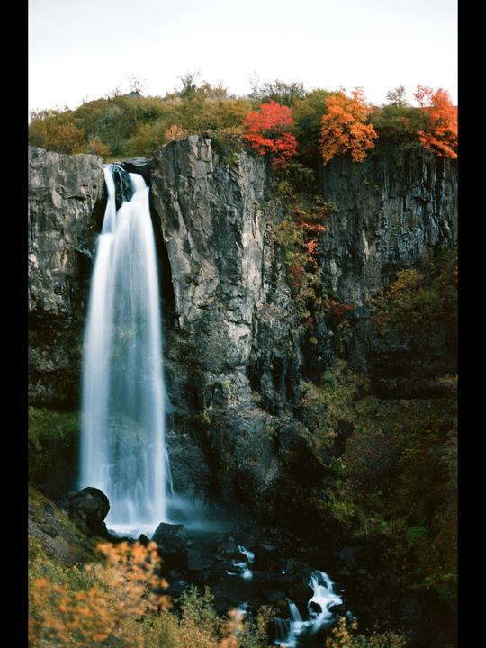 Fall in Iceland [Leica M3|50mm Zeiss Planar|Ektar 100]