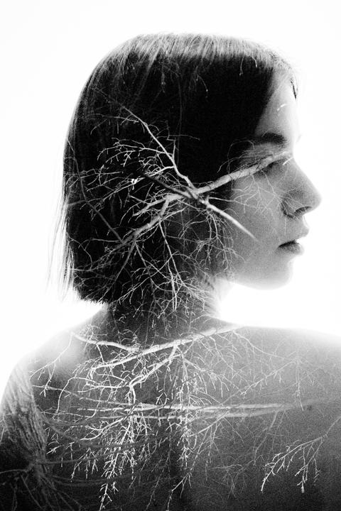 Transparent