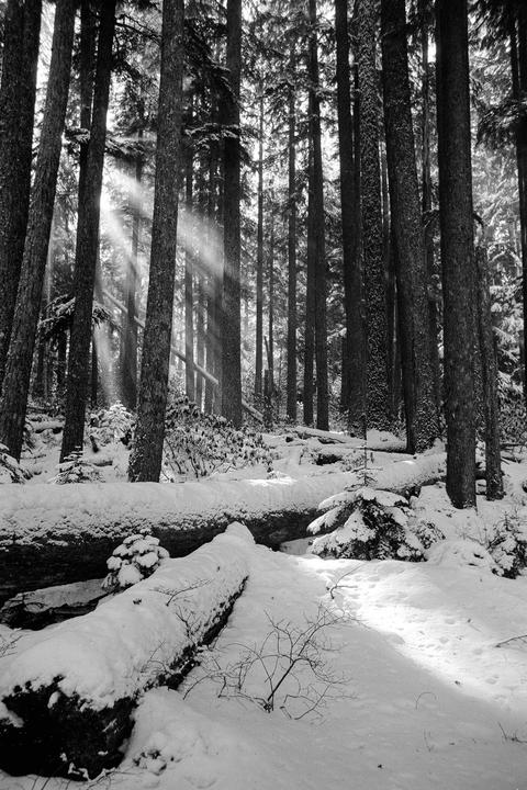 Quiet | Canon AE-1 | 28mm | Fujifilm Neopan Acros 100