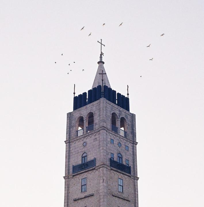 Holy Birds (Canon A-1, 50mm, Kodak ColorPlus)