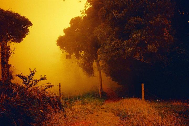 First time trying Lomo Redscale - Contax TVS