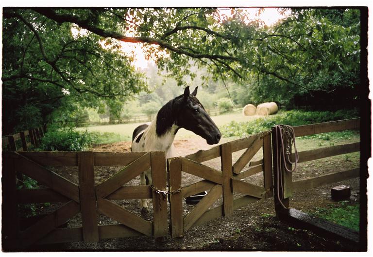 First time shooting Cinestill 50D and I’m convinced it’s magical [Leica M6, Voigtlander 28mm]