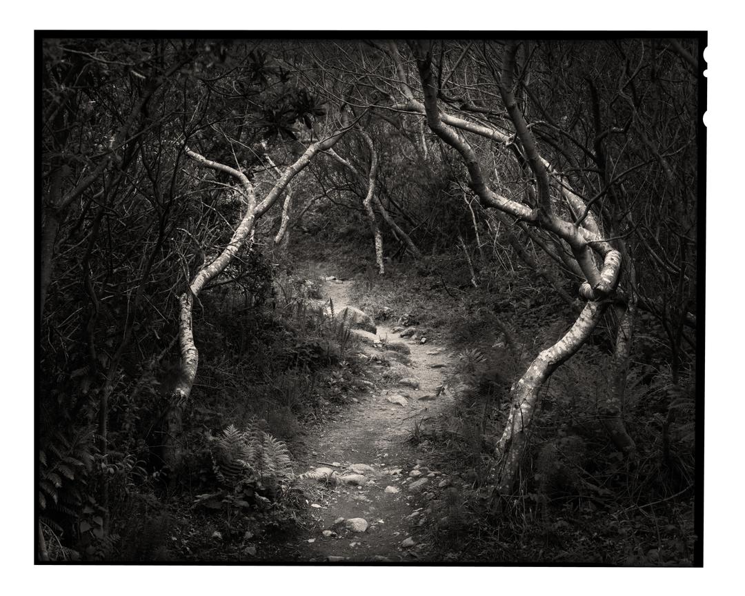 image 35484 by ChrisCummins