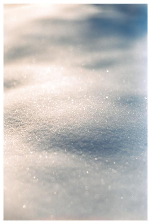 Snow Day - Pentax PZ-1p, Portra 400