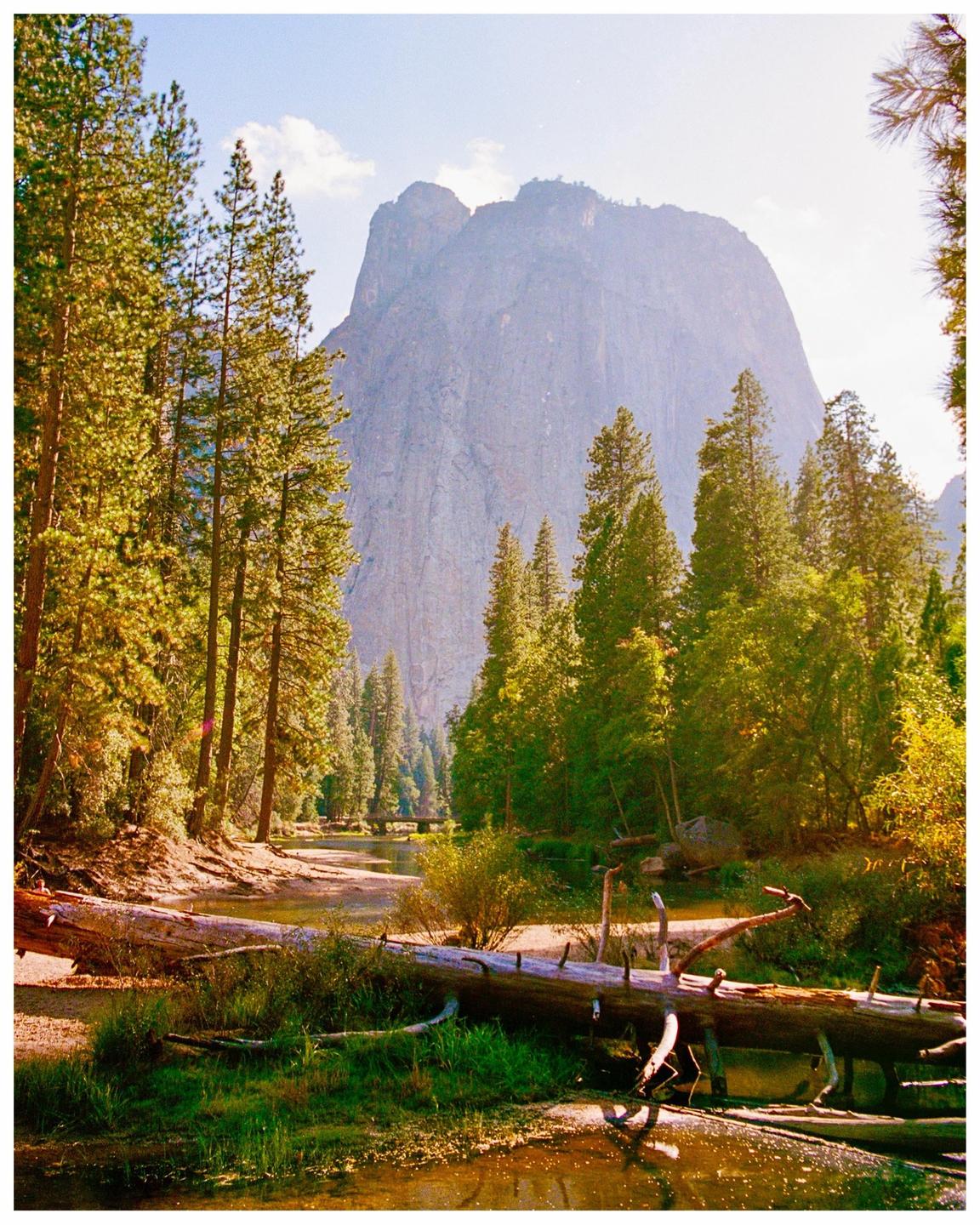 image 36209 by natelens