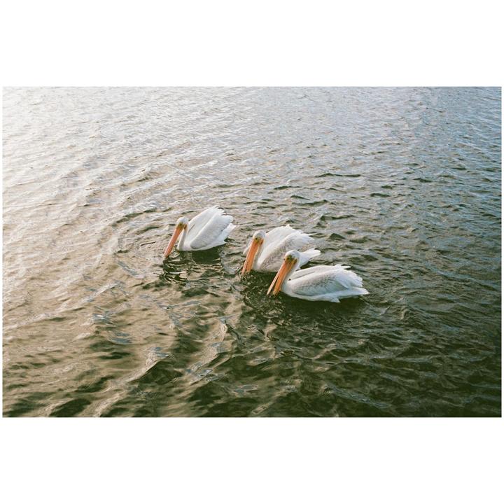 Portra 400, leica m5, 35mm