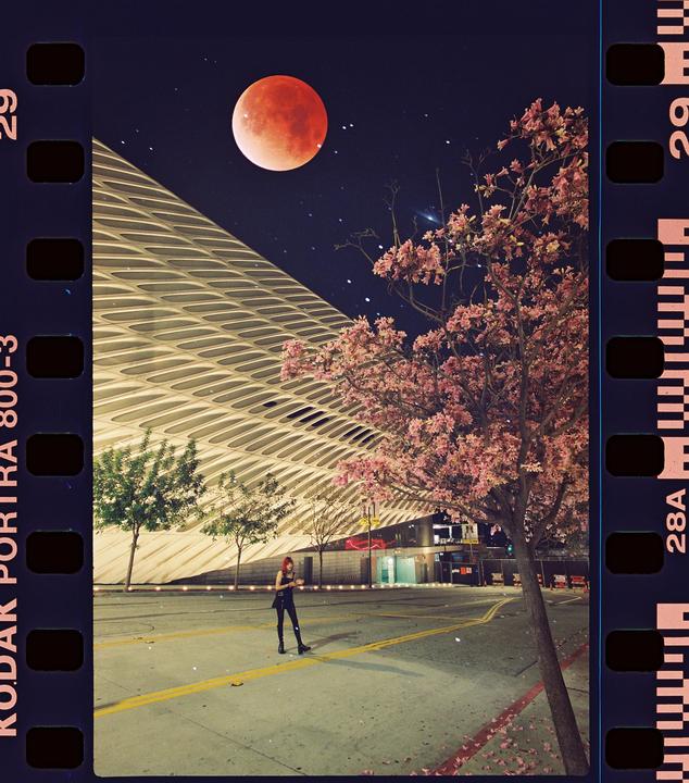 Lunar Eclipse Double Exposures / Nikon F2 / 17-35 F2.8/ Porta 800