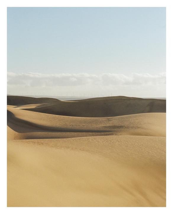 Dunes • Olympus OM-1n • Zuiko 85mm f2 • Kodak Gold 200