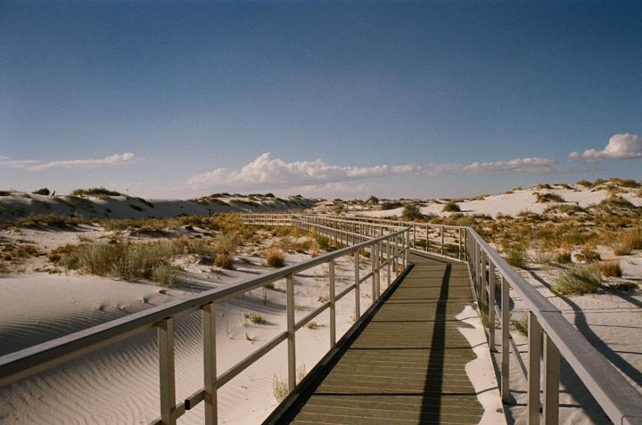 Kodak Gold 200: Some Photos More Grainy Than Others (question in comment)
