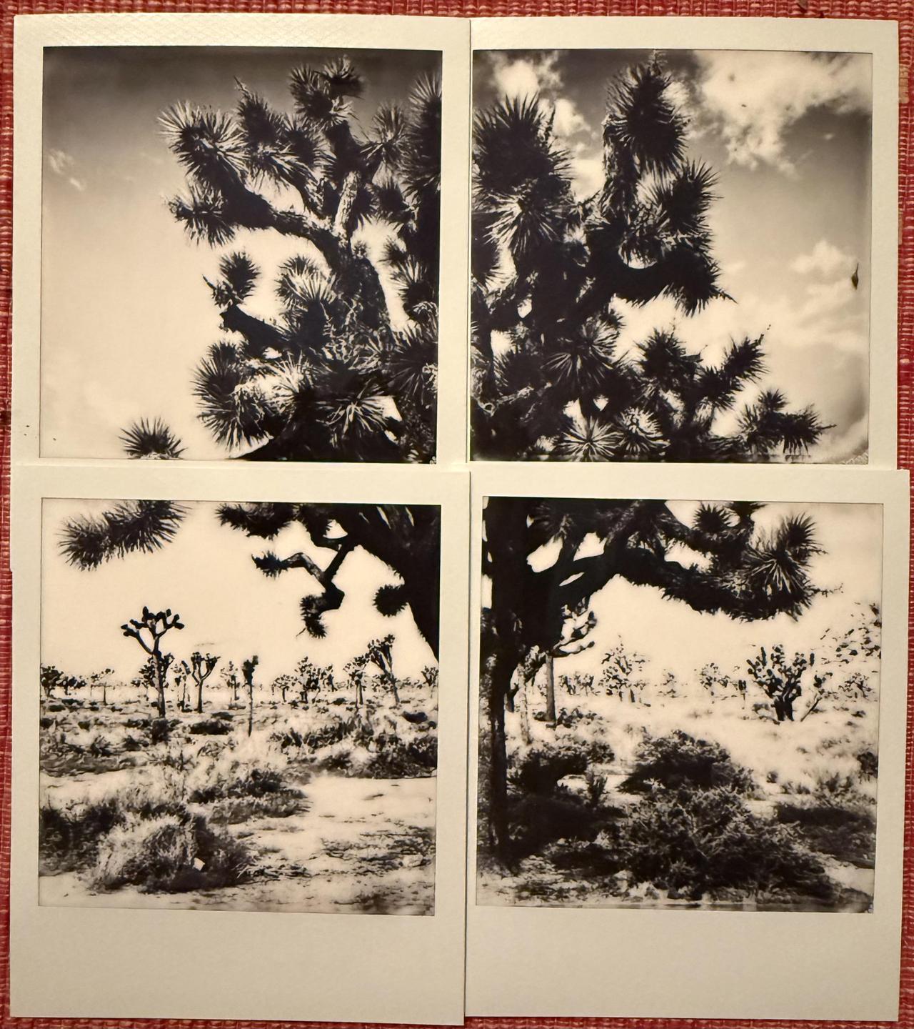 image 35856 by Horror-Preference414