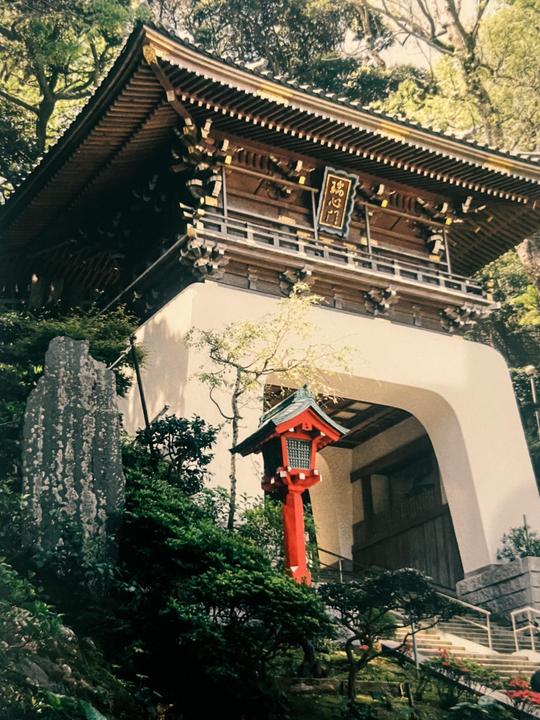 Is it just easier to take good photos in some countries? Enoshima Island, Japan. Kodak Ultramax 400 / Canon EOS 500