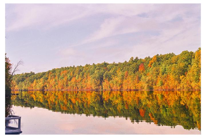 Fall on the Hudson [ Canon F1, Portra 800]