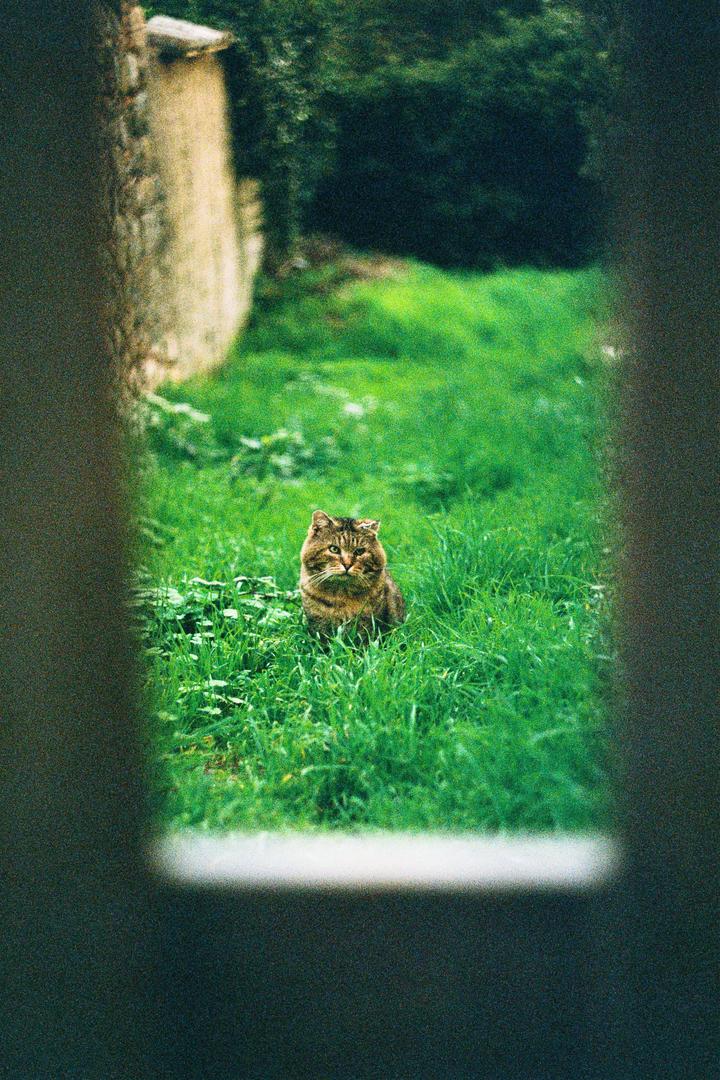 image 35657 by X0smith