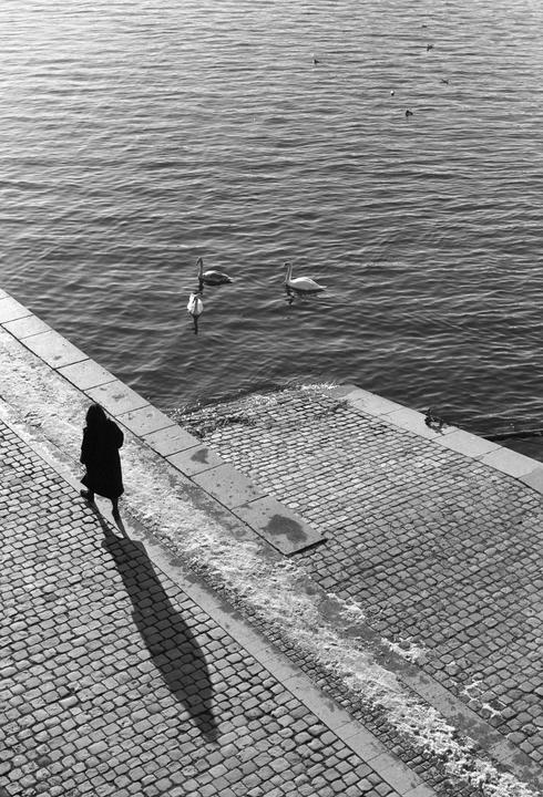 A few January snaps on Fomapan 200